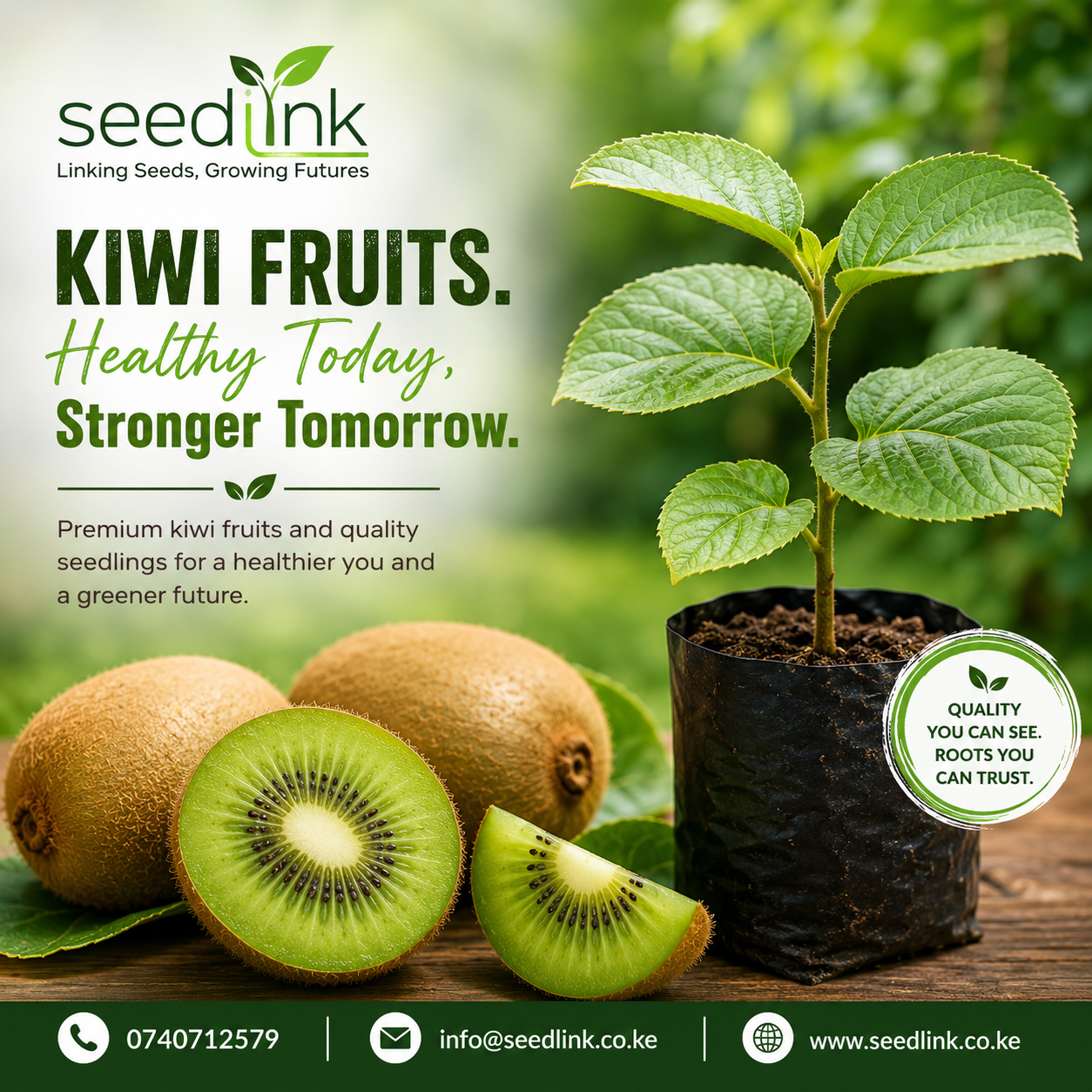 Kiwi fruit sapling ad with green leaves, kiwi fruits, and text “Healthy Today, Stronger Tomorrow.”
