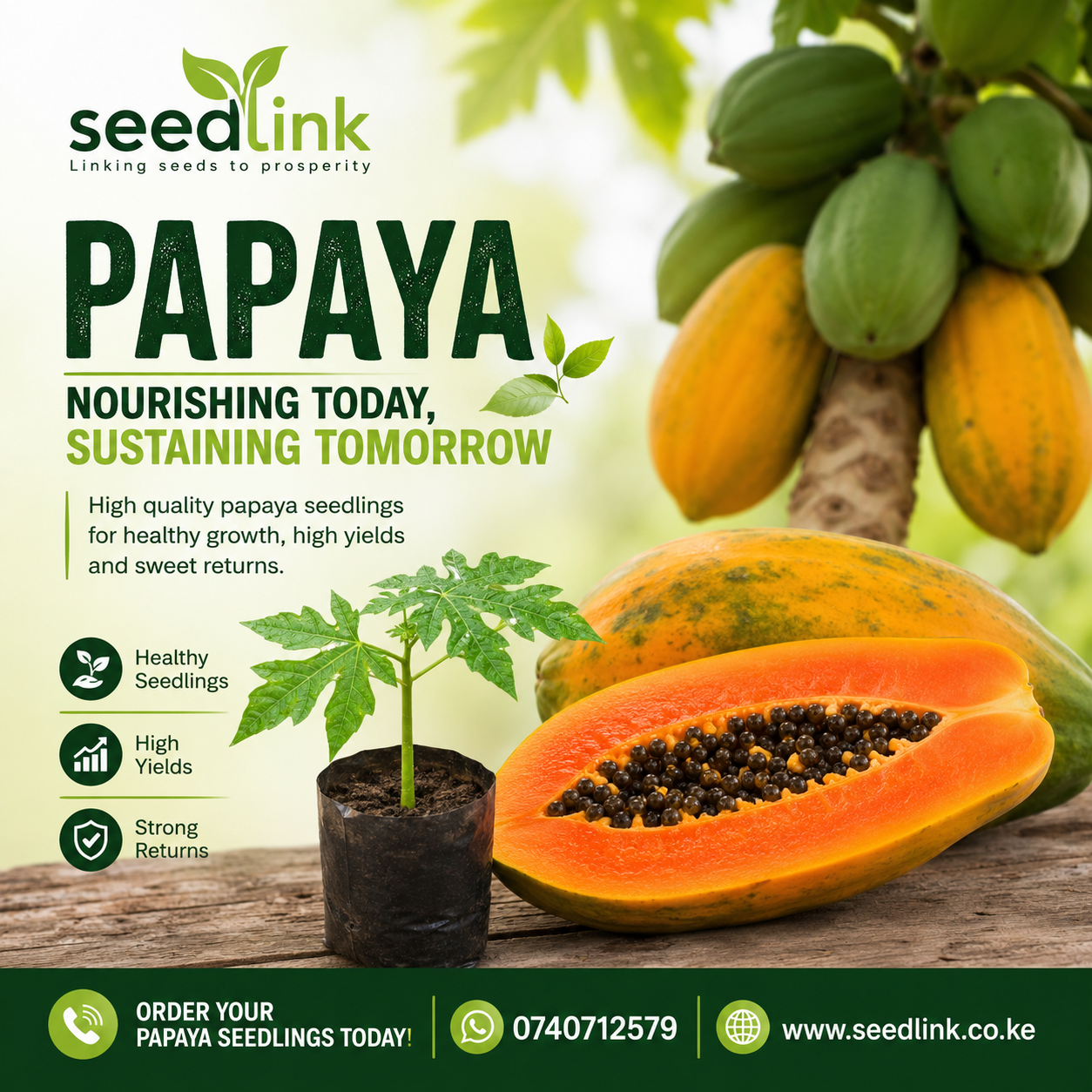 Papaya nursery ad with green fruit, sliced papaya, and seedling; promoting healthy, high-yield plants.