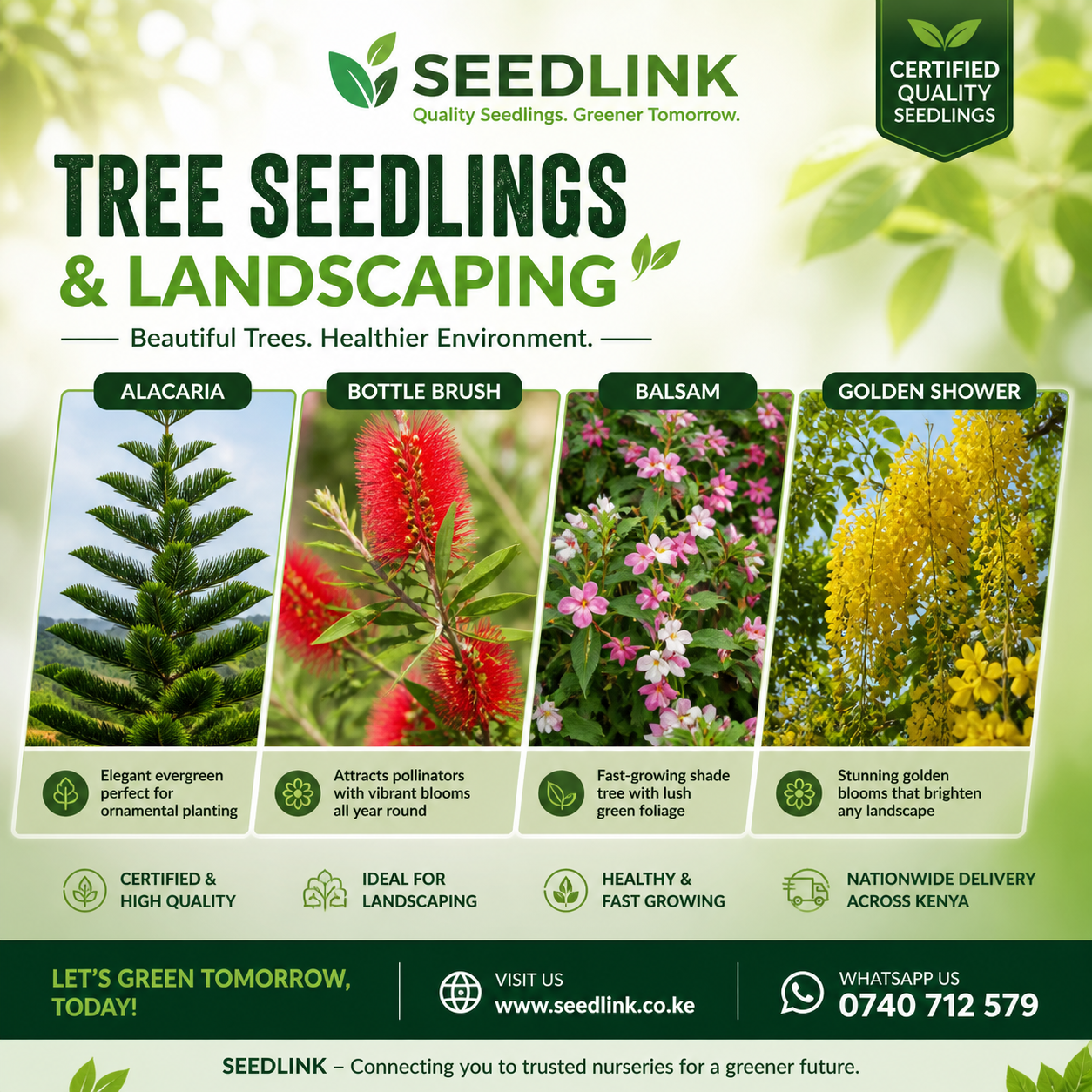 Seedlink poster for tree seedlings and landscaping, showing acacia, bottle brush, balsam, and golden shower plants.