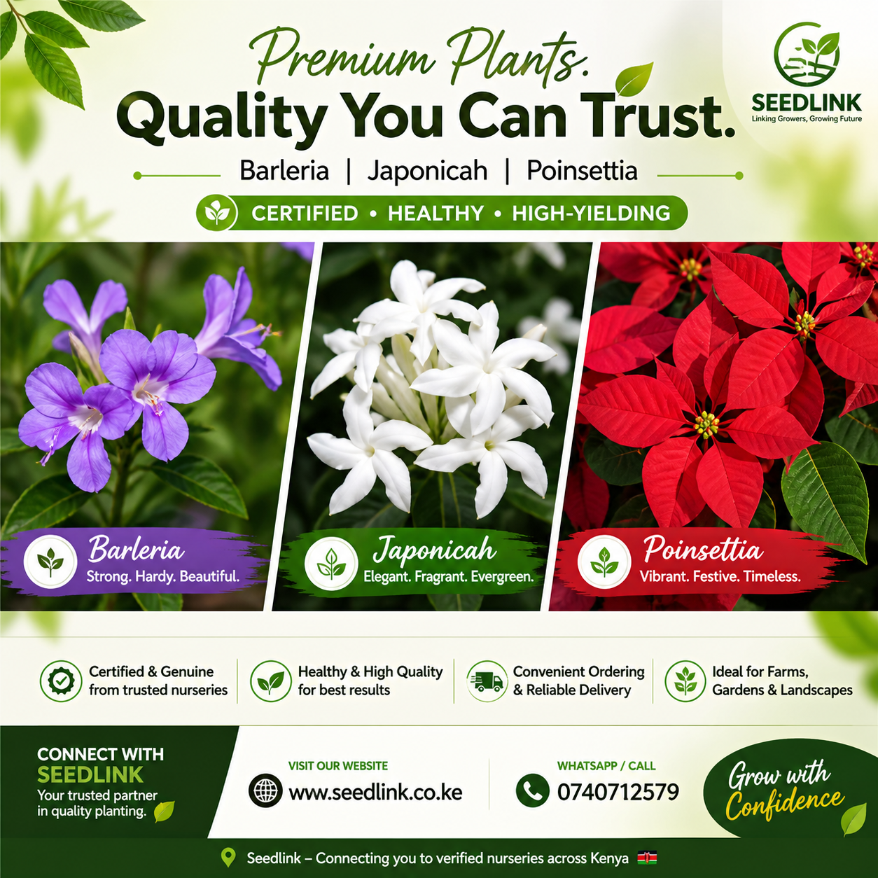 Seedlink plant ad with purple barleria, white jatropha and red poinsettia; “Quality You Can Trust” slogan