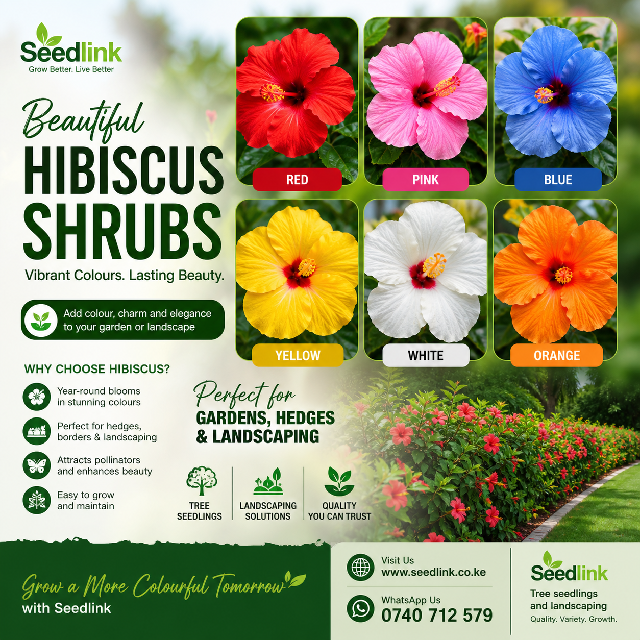 Seedlink ad for colorful hibiscus shrubs in red, pink, blue, yellow, white, and orange.