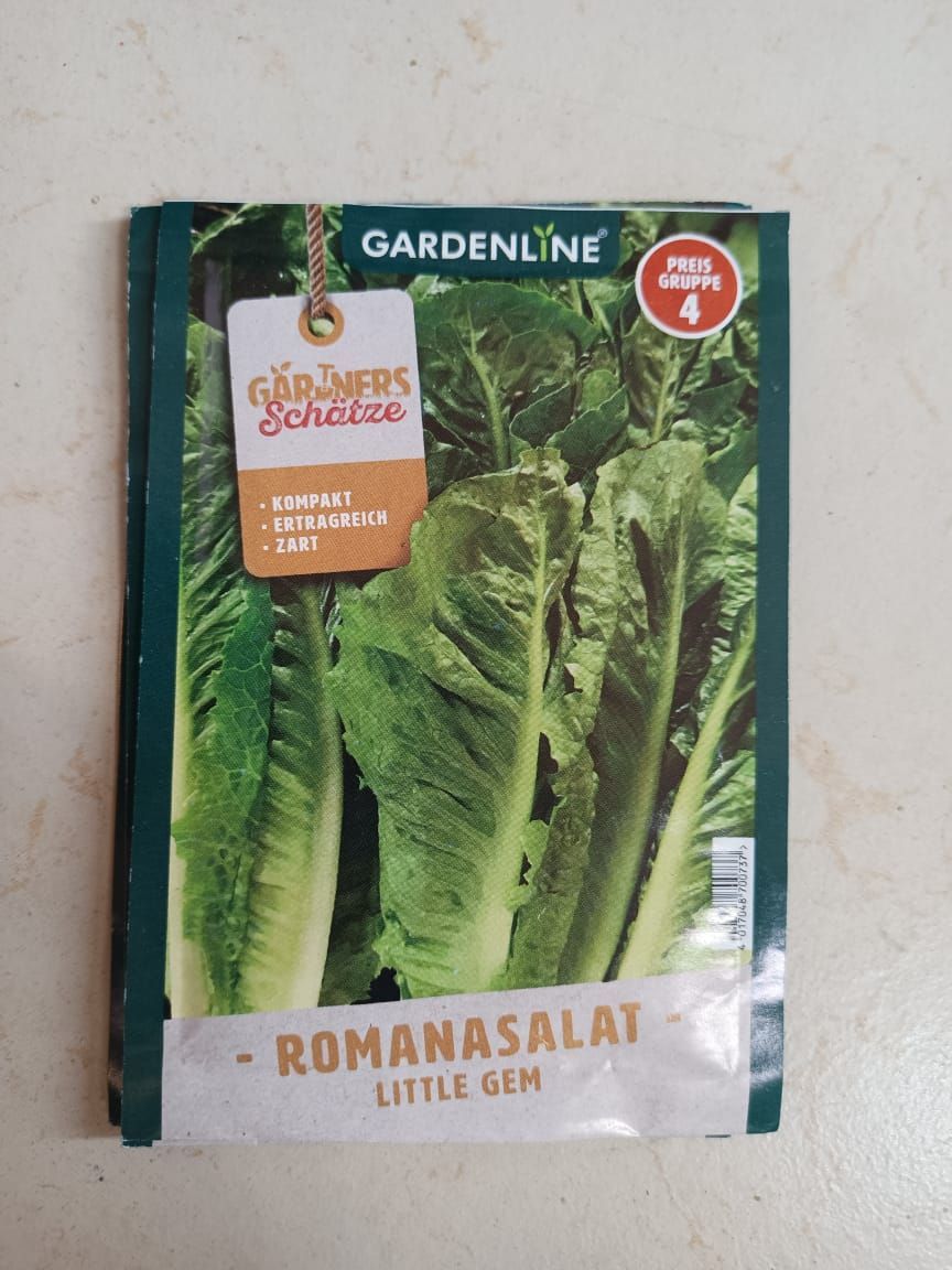 Gardening seed packet for Roma salad lettuce with green lettuce heads on the front