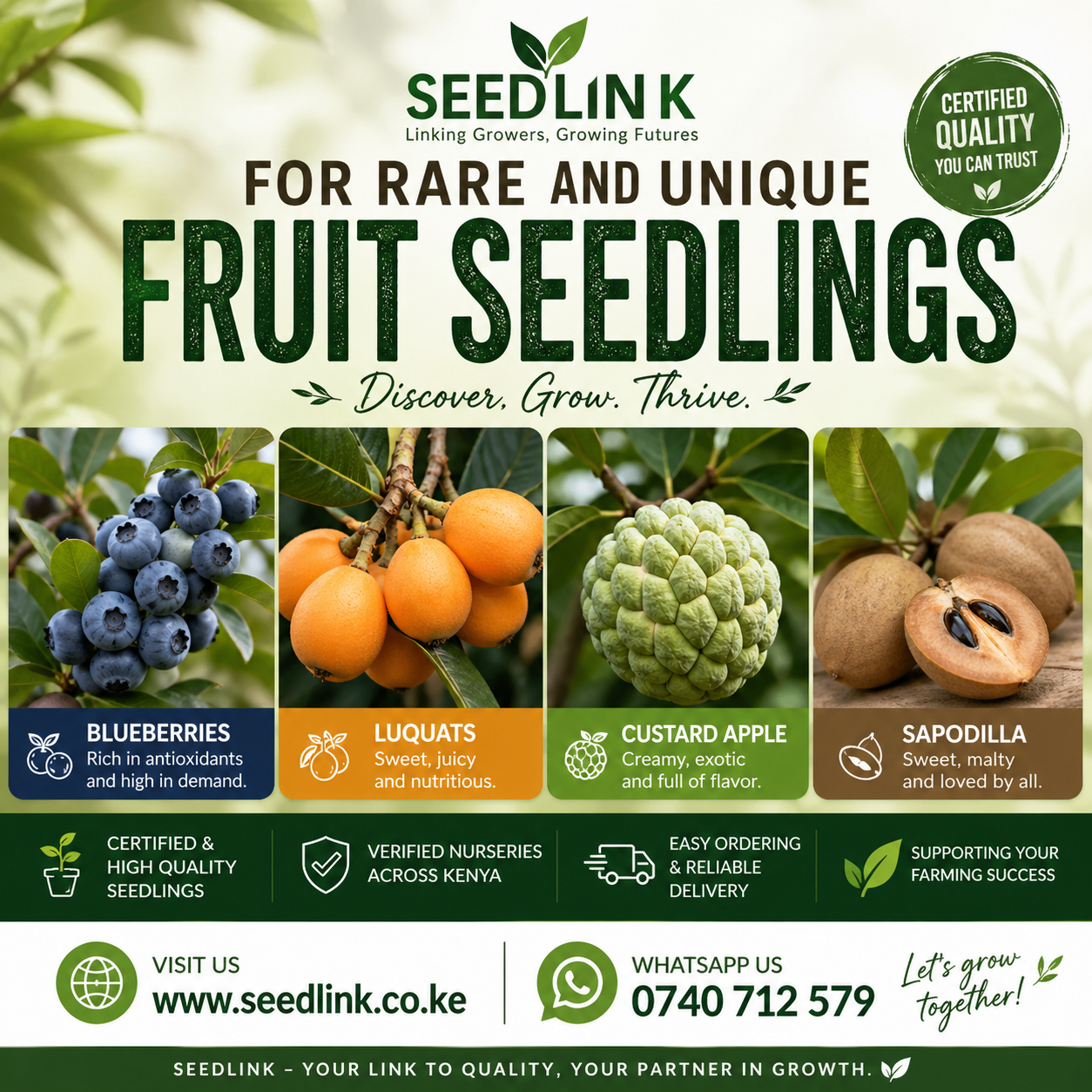 Seedlink ad for rare fruit seedlings, with blueberries, loquats, custard apple and sapodilla, green and white layout