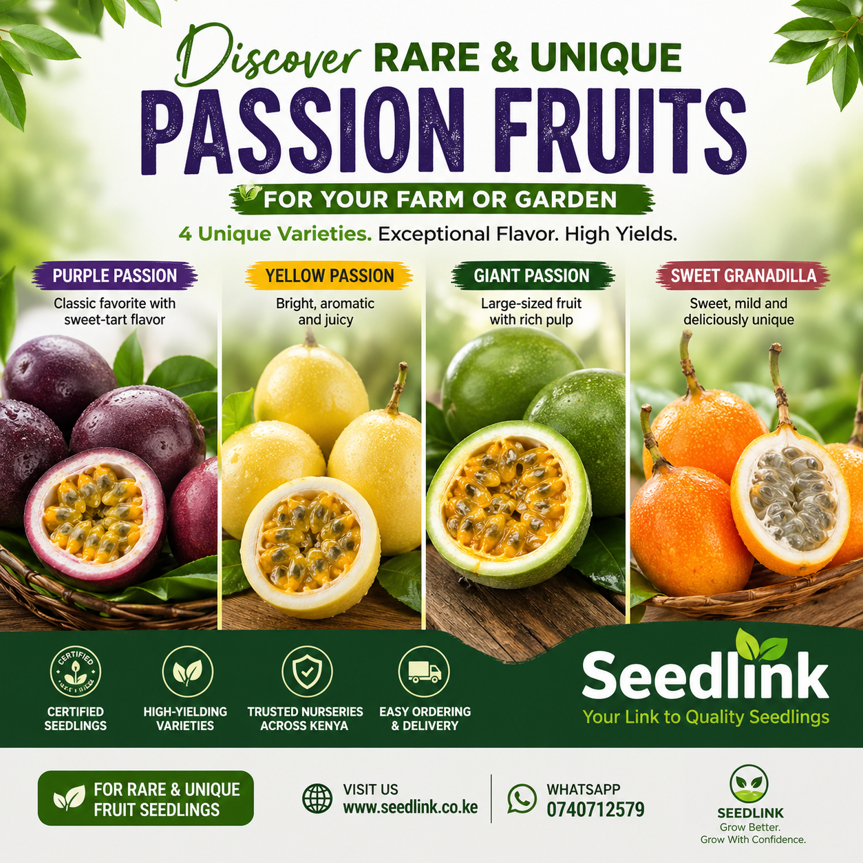 Promotional banner for rare and unique passion fruits, showing four colorful varieties and Seedlink branding.