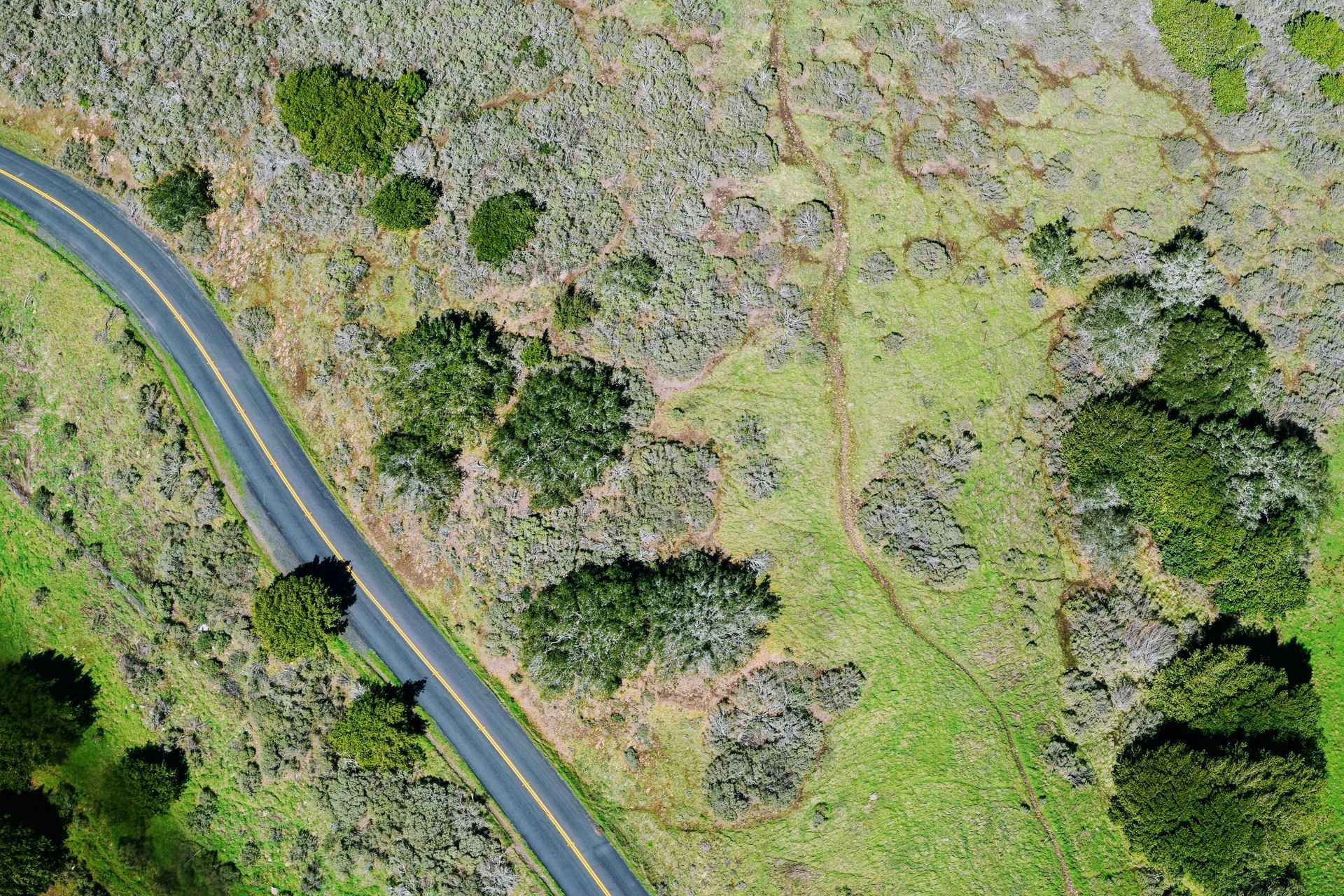 An aerial view shows a winding asphalt road cutting through a landscape of grassy fields and patches of dark lava rock.