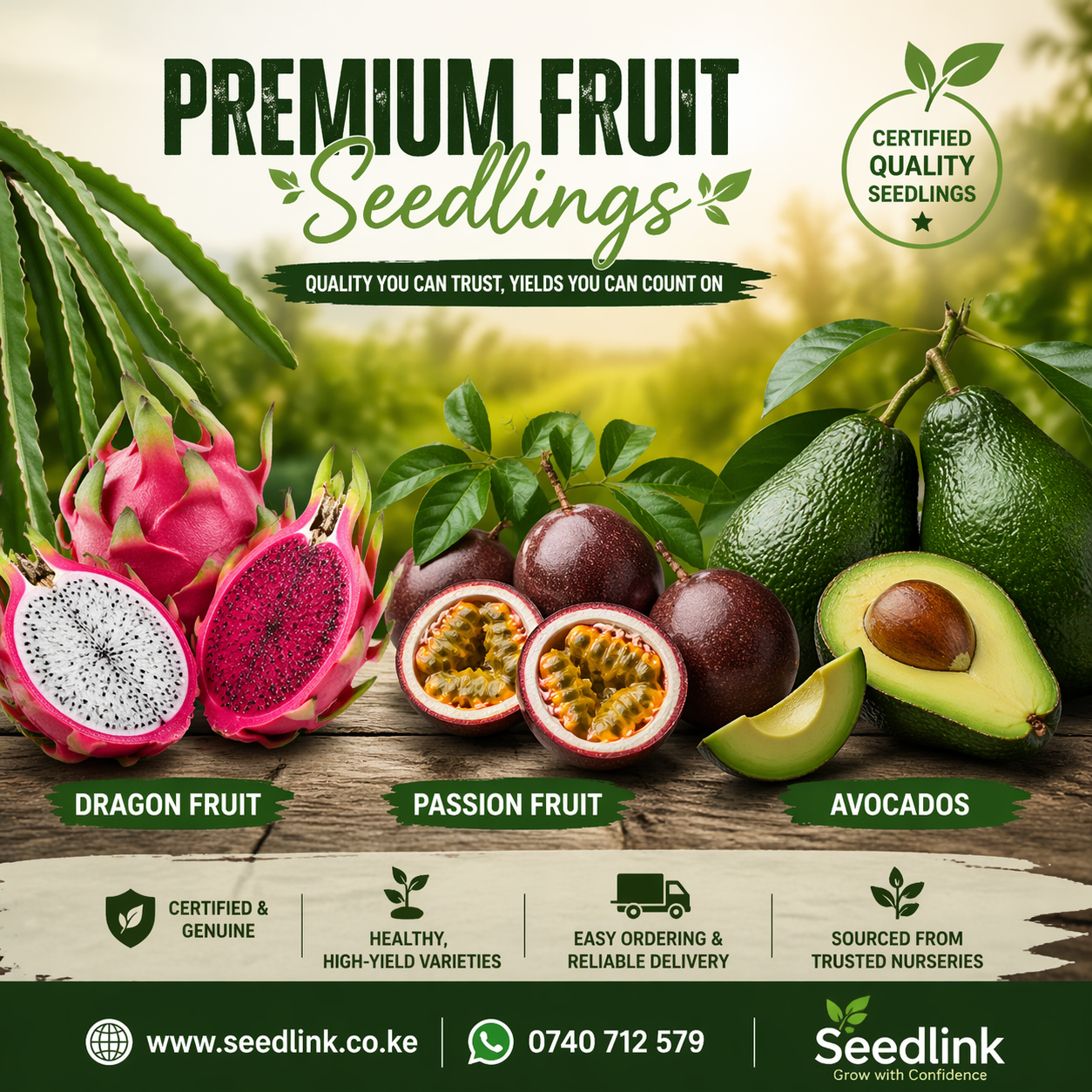 Premium fruit seedlings ad with dragon fruit, passion fruit, and avocados on a green background