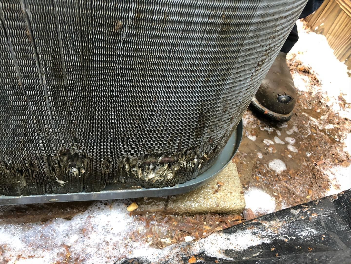 A person is standing next to a dirty air conditioner.