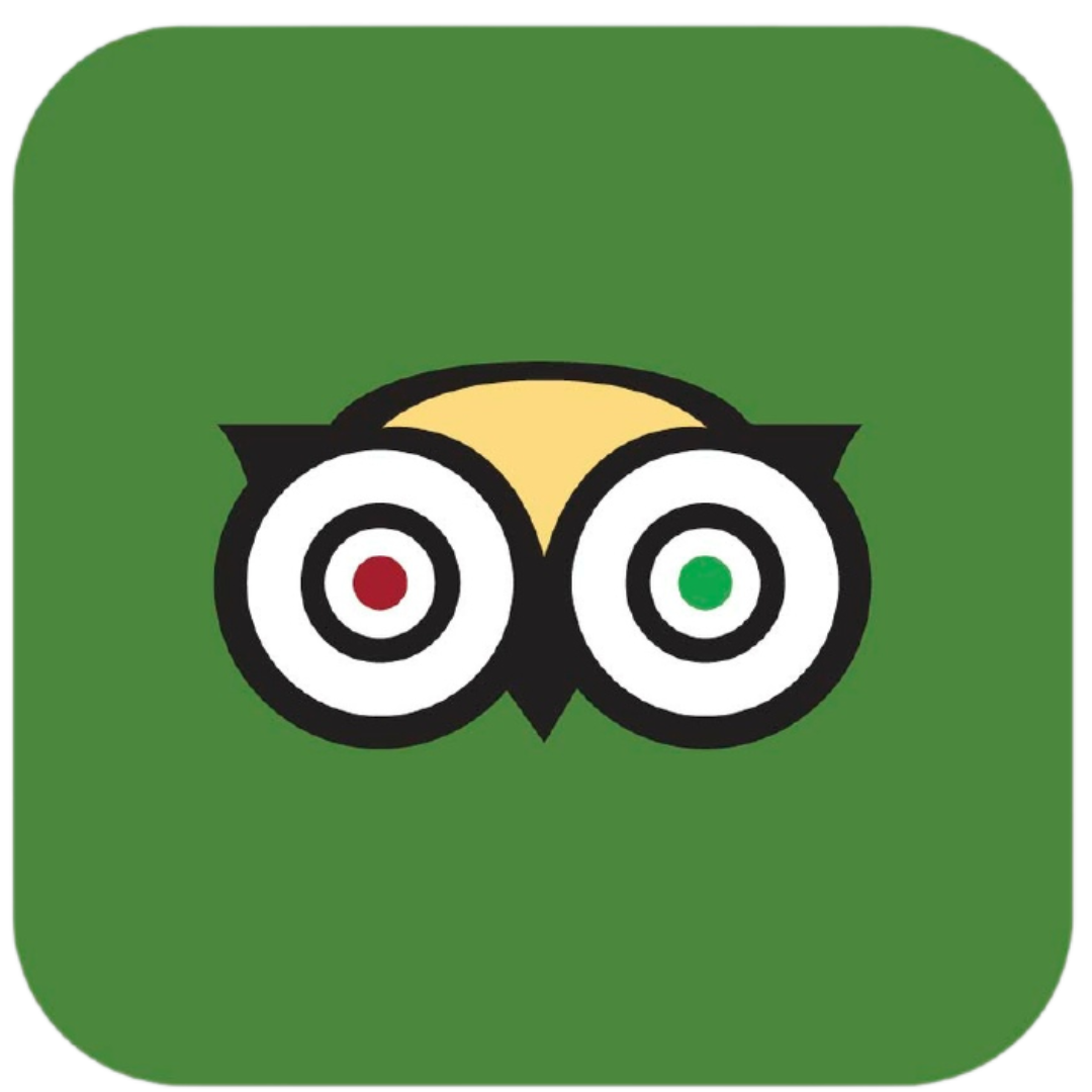 TripAdvisor logo: Owl with two eyes, one with a red dot, one with a green dot, on a green background.