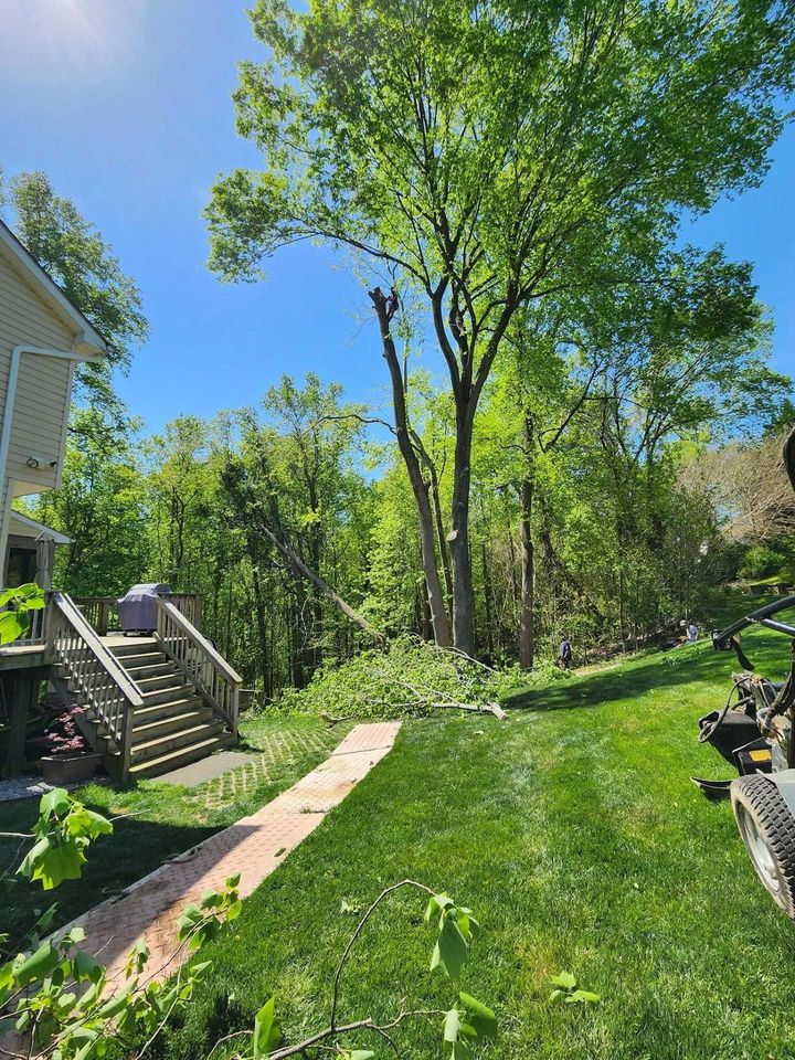 Sunny backyard with green lawn, brick path, trees, and a house porch on the left