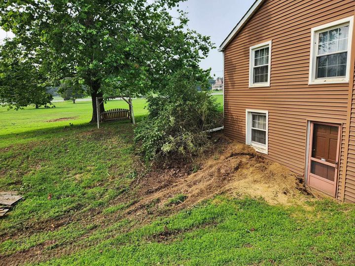 Brown house with a basement door beside a grassy slope and leafy tree in a yard