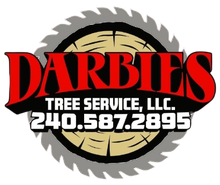 Darbies Tree Service, LLC logo with red text, saw blade graphic, and phone number 240-587-2895