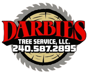 Darbies Tree Service, LLC logo with red text, saw blade graphic, and phone number 240-587-2895