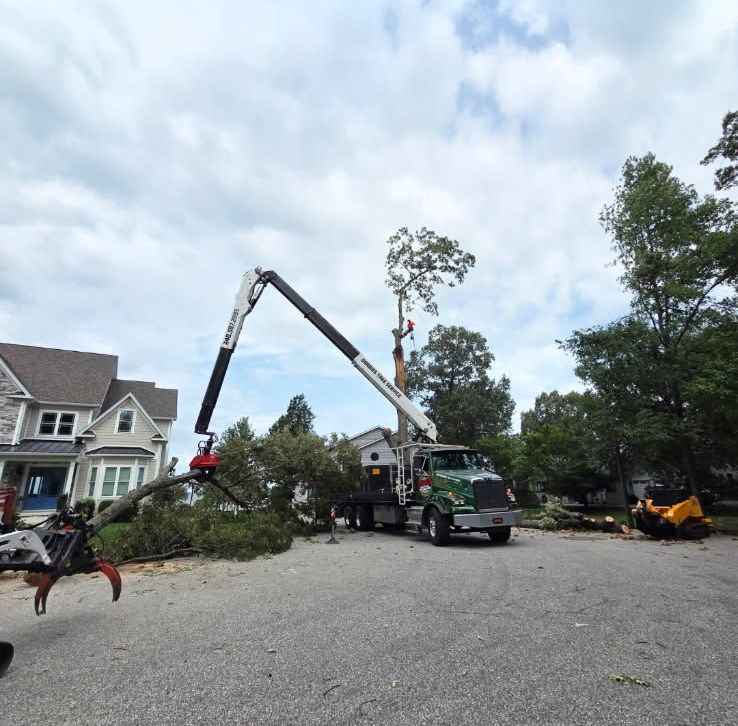 Tree removal crew using a crane and bucket truck beside a house on a gravel lot