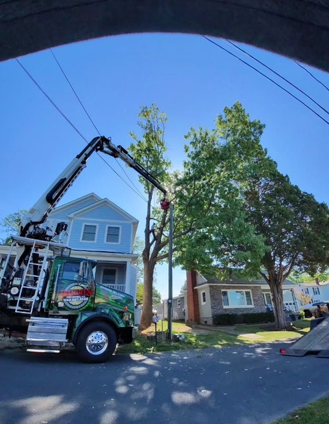 Crane truck lifting a tree near a blue house on a sunny residential street.