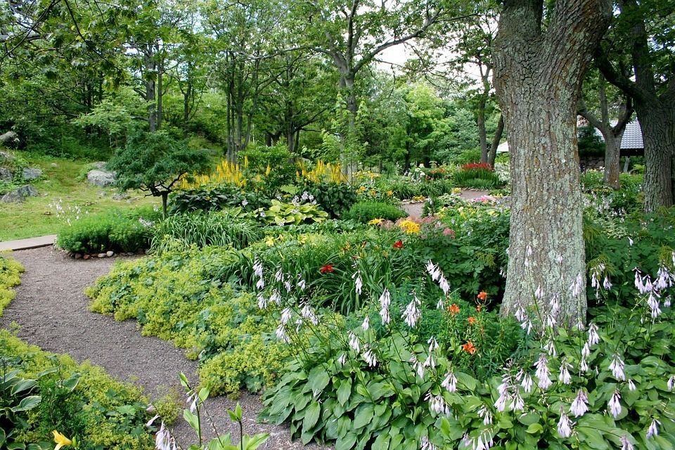 A garden filled with lots of flowers and trees