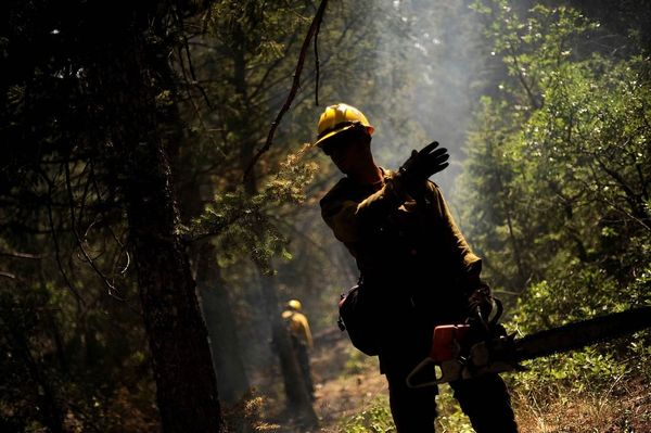 arborist victoria bc, vancouver island tree services