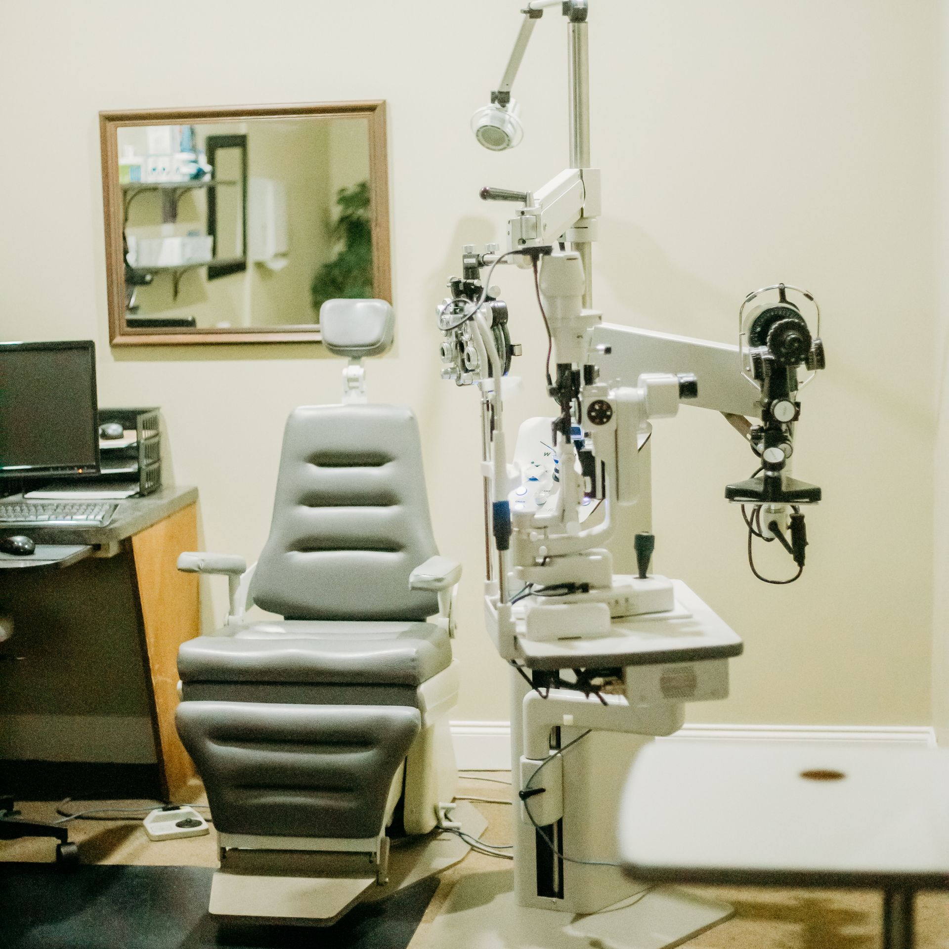 dentist and patient