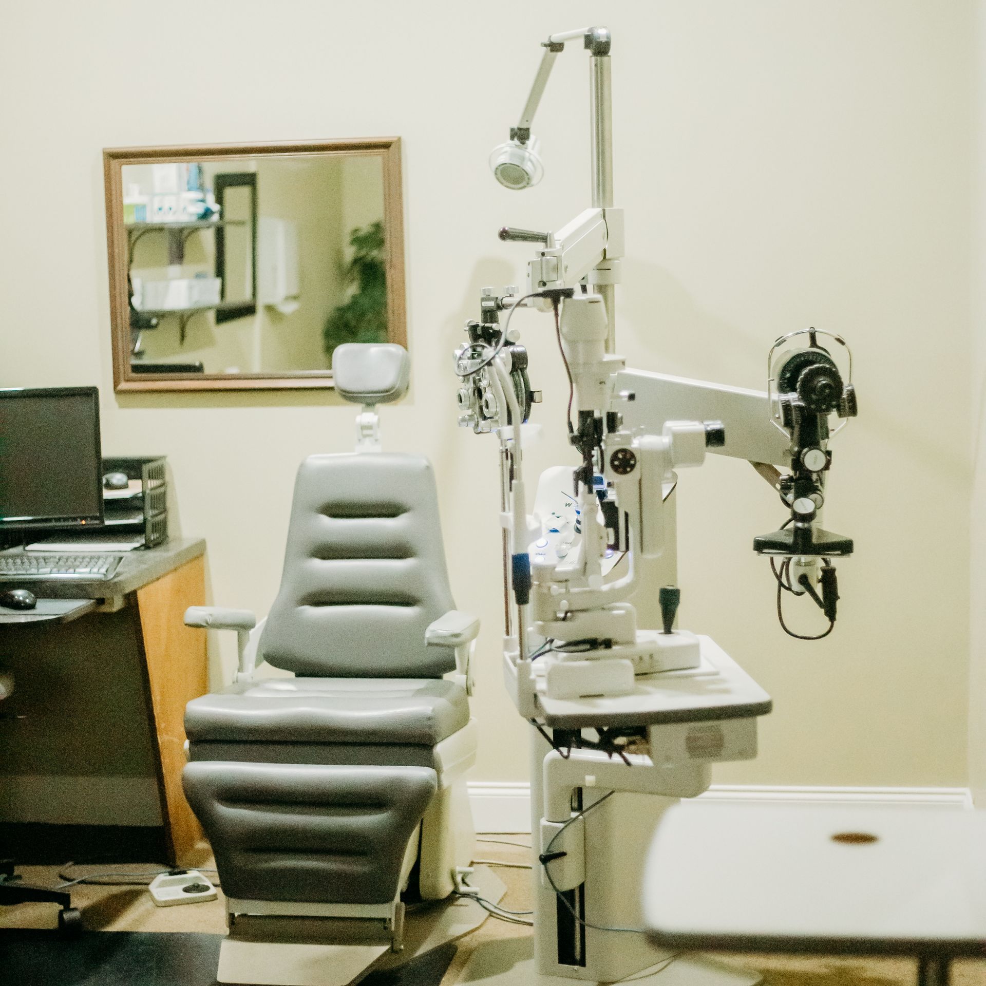 dentist and patient