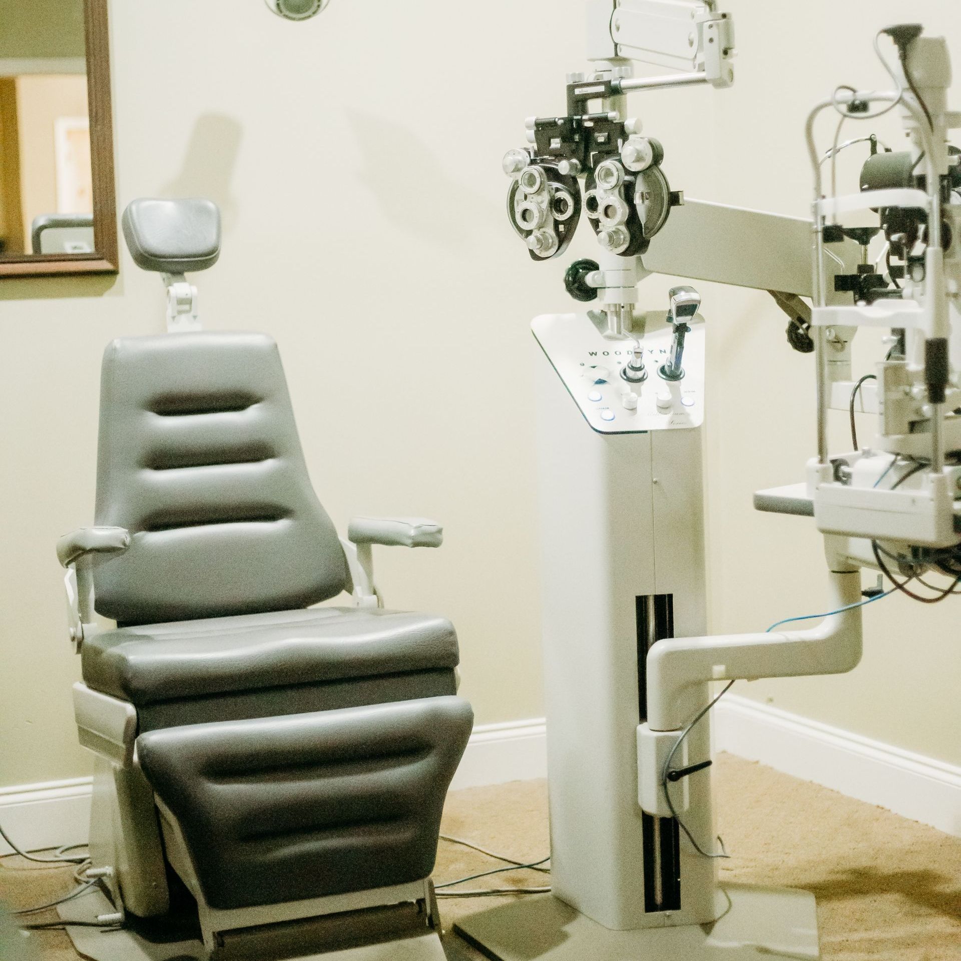 dentist and patient
