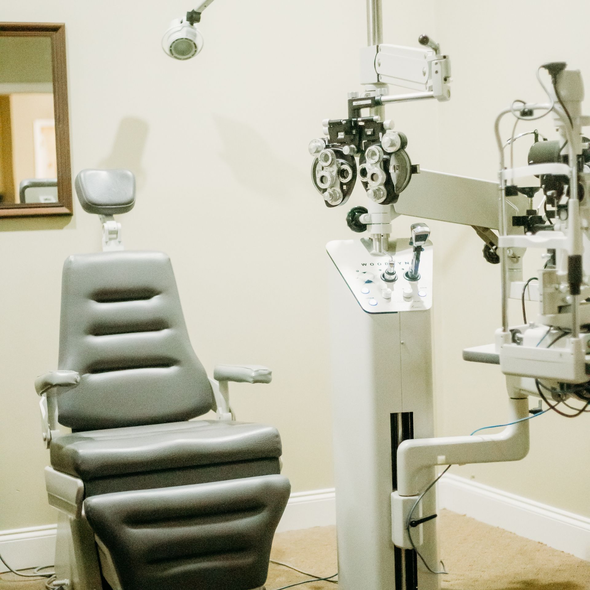 dentist and patient