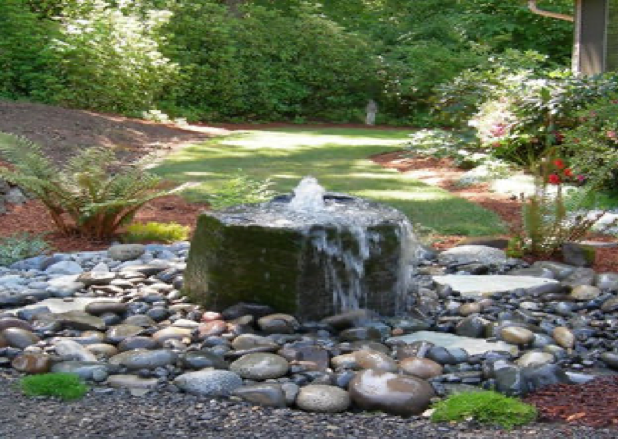 Backyard Oasis