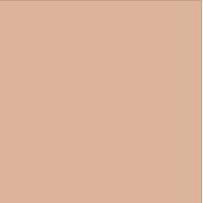peach rain gutter