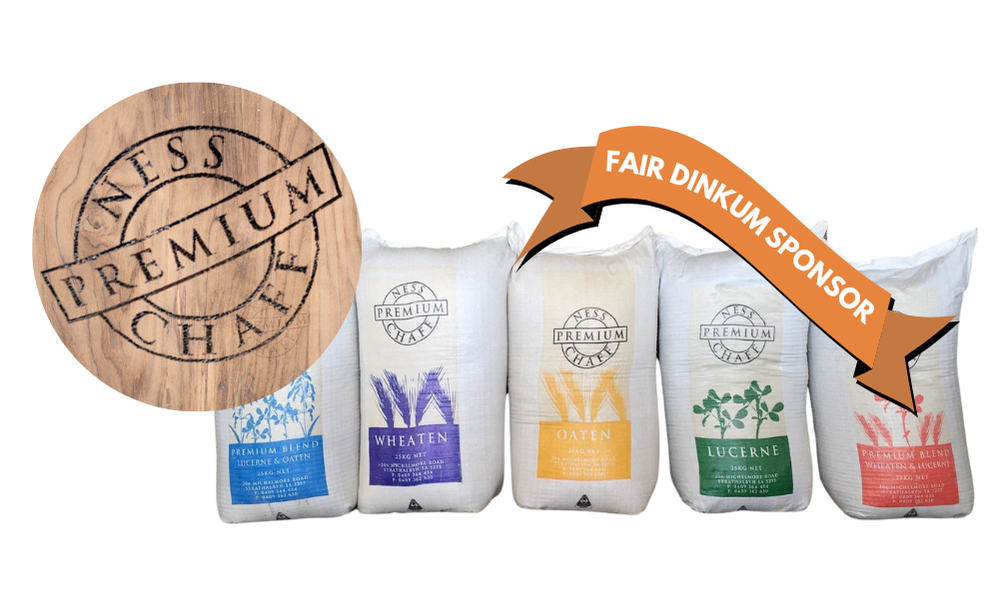 Ness Premium Hay and Chaff