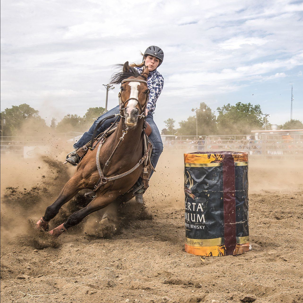 Trach Rodeo Stock Strath Rodeo