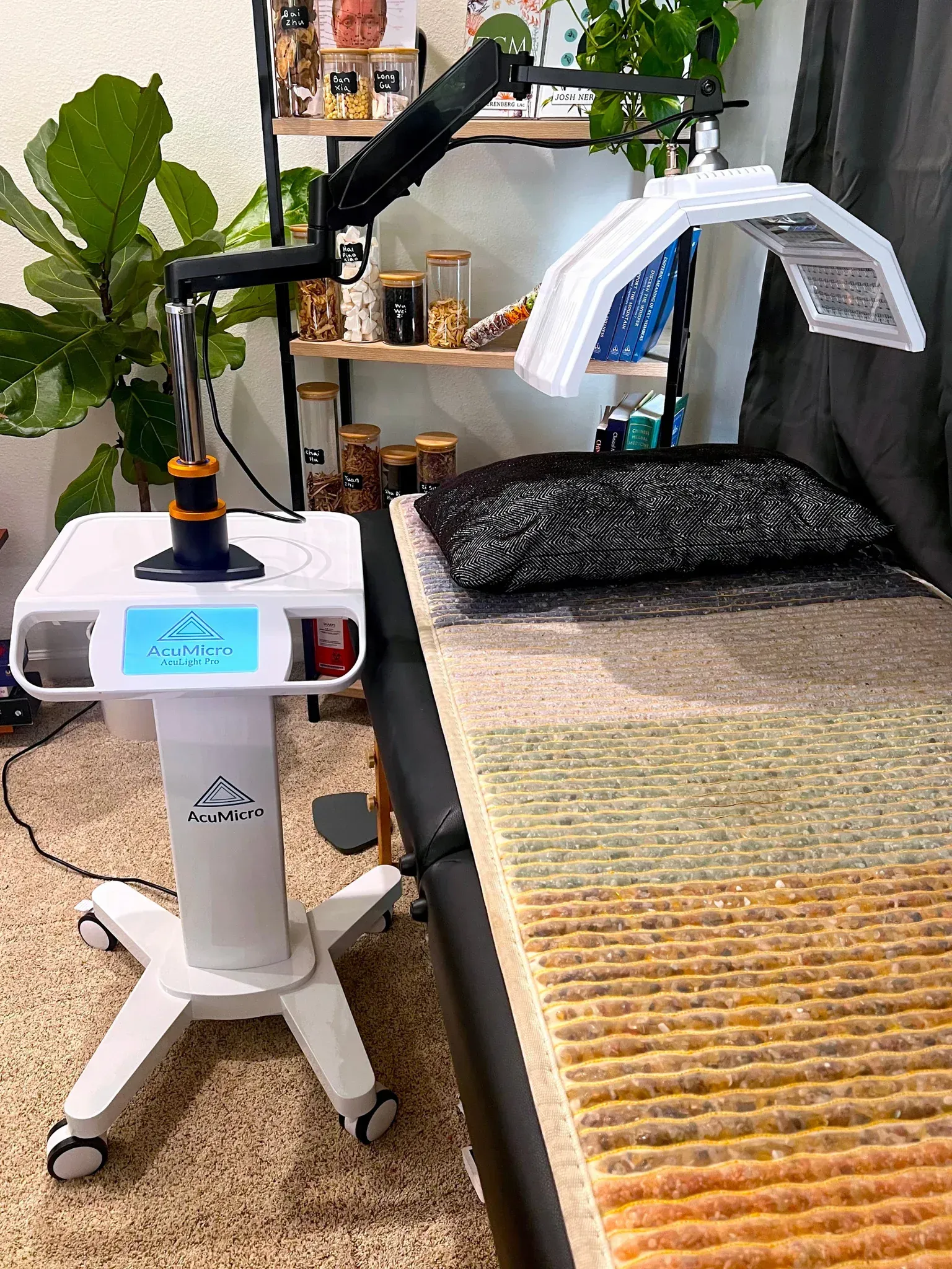 A machine is sitting on top of a bed next to a plant.