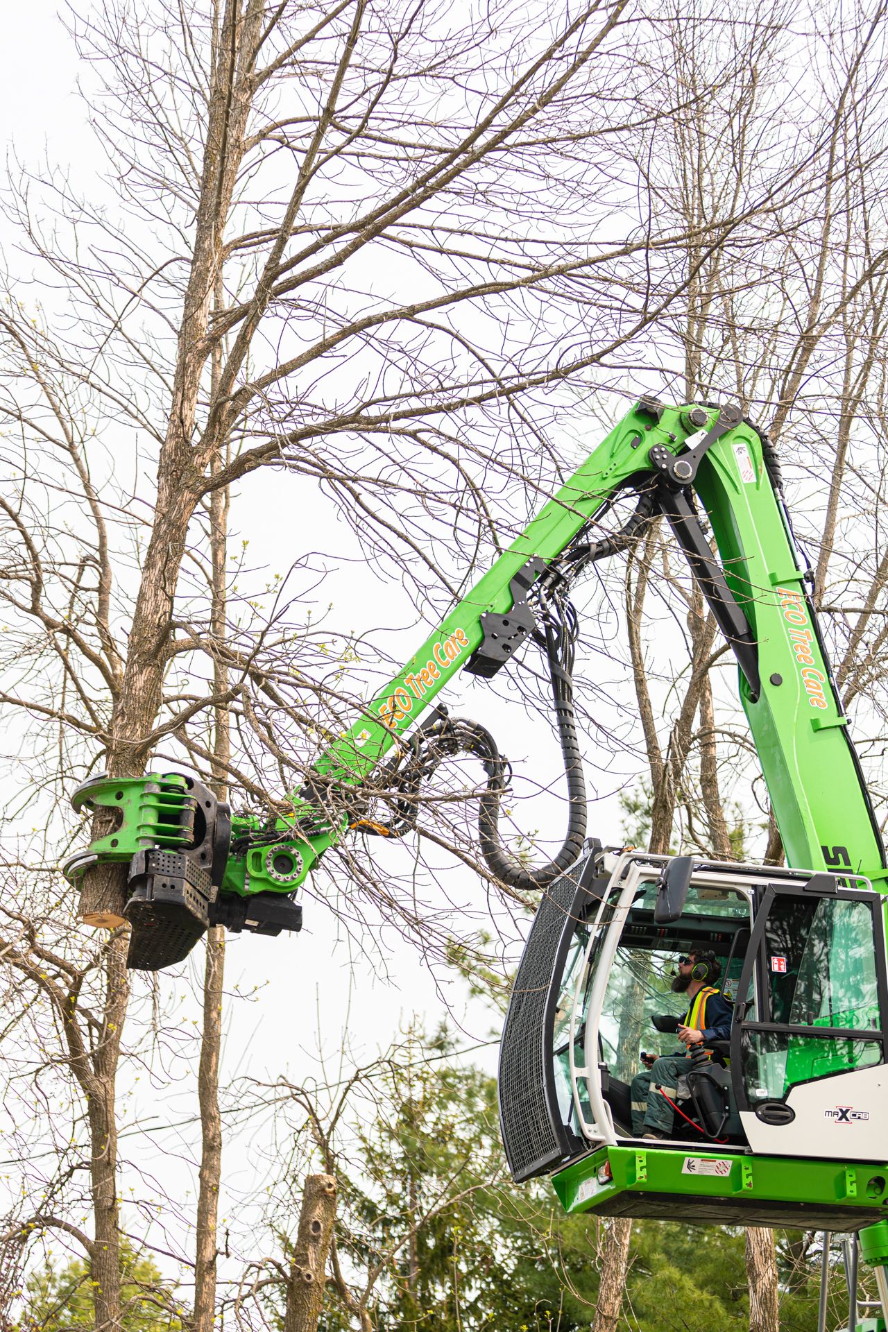 Eco Tree Care | Tree Service Company | Kingston