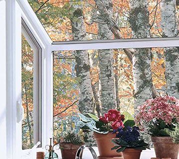 Potted flowering plants sit on a kitchen garden window sill overlooking a forest with autumn foliage.