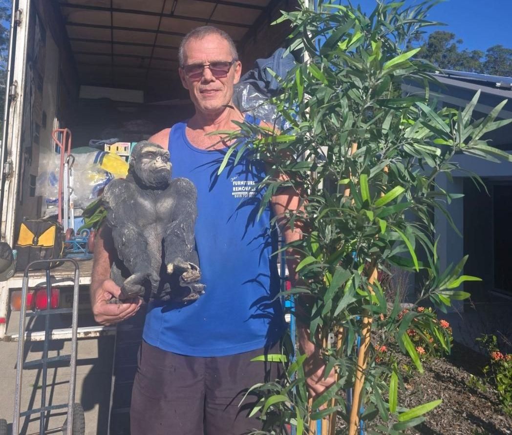 Man in Blue Tank Top Holding a Gorilla Statue — John's Furniture Removals in Sunshine Coast, QLD