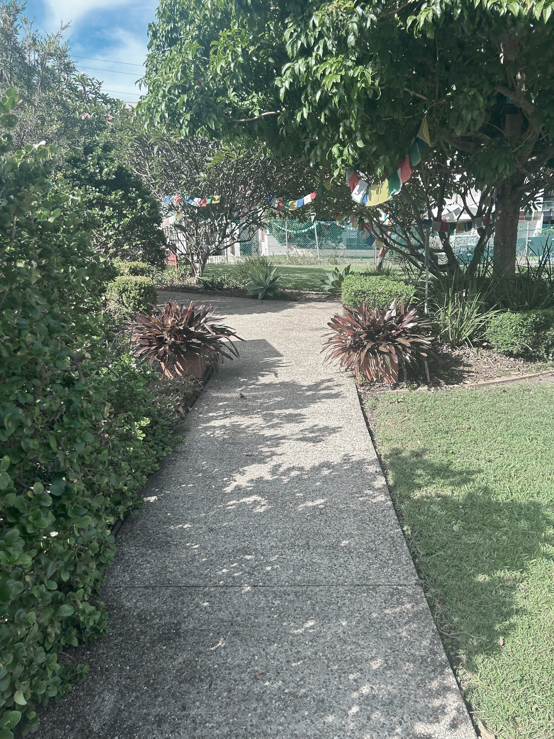 A Man is Standing Next to a Bush Holding a Camera — Commercial Asset Maintenance In Beerwah, QLD