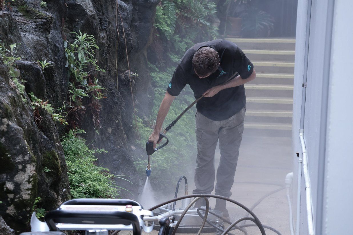 A Man is Standing Next to a Bush Holding a Camera — Commercial Asset Maintenance In Yandina, QLD