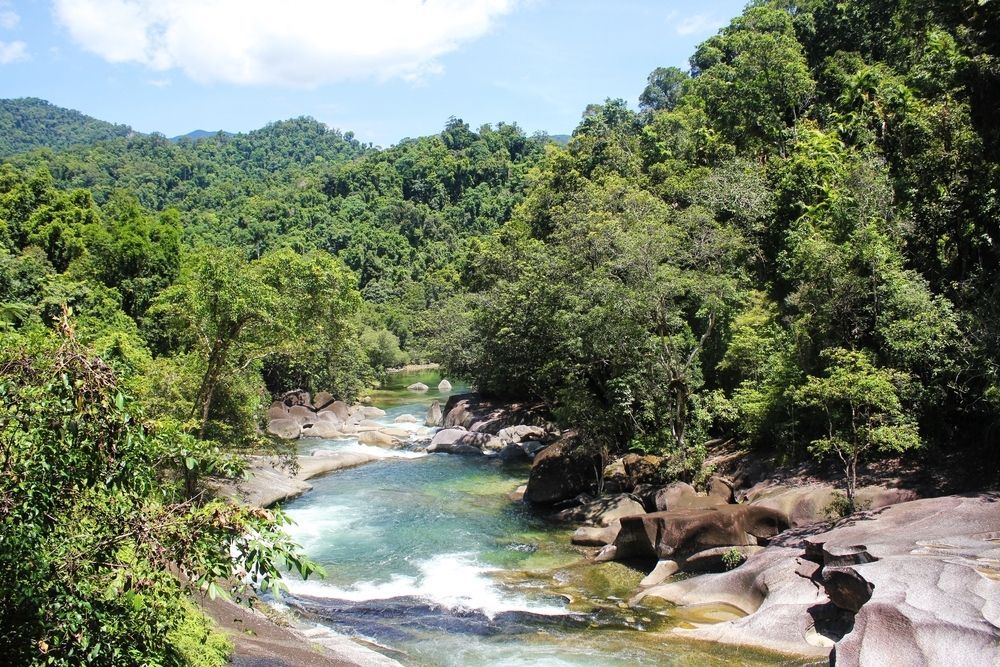 A River Flowing Through a Lush Green Forest — Howards Professional Driving School In Babinda, QLD
