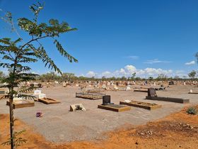 Cemetery under a bright blue sky with many headstones on reddish-brown dirt. A small tree is in the foreground.