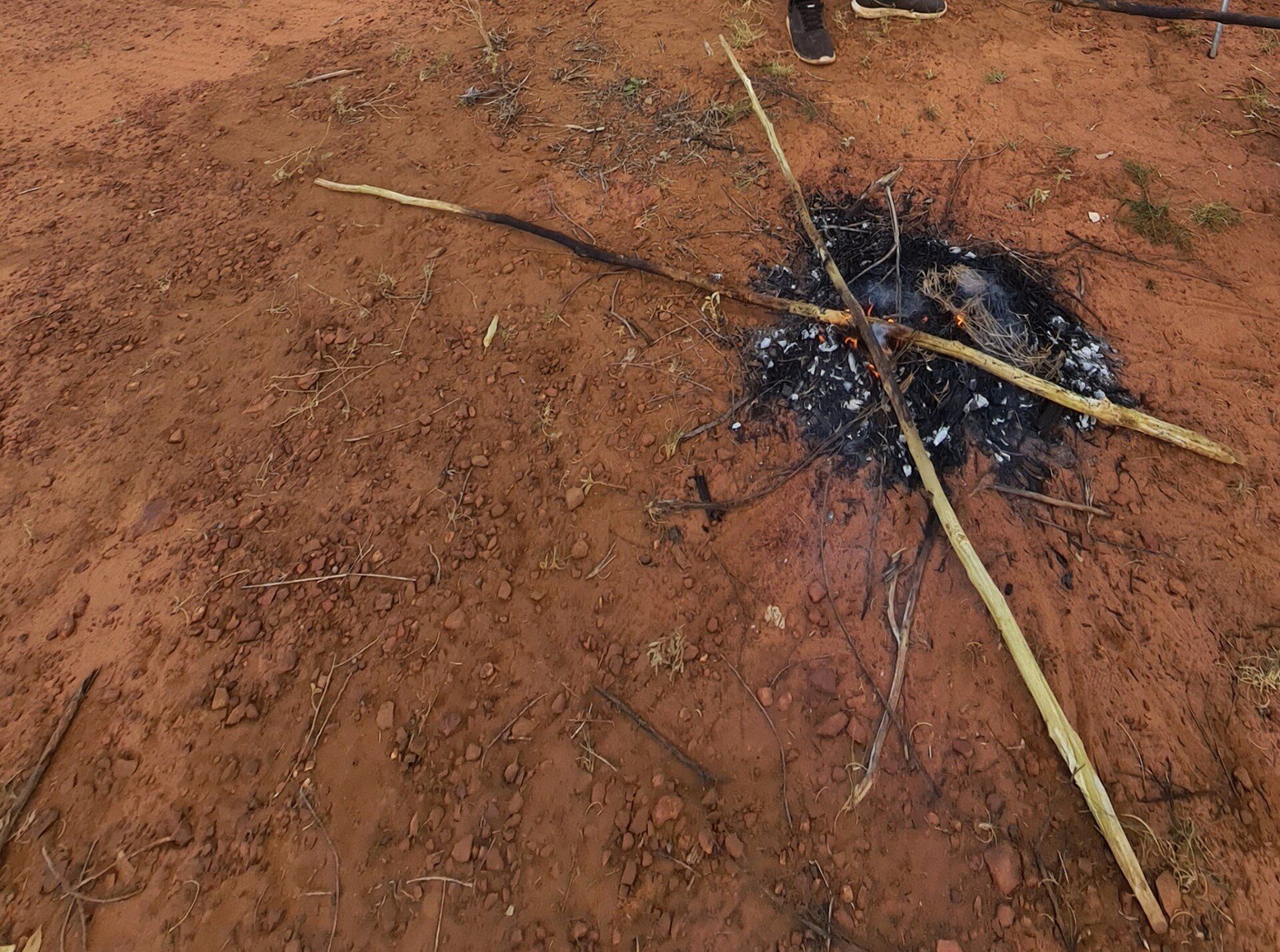 Charred remains of a fire pit on reddish-brown dirt. Partially burnt sticks radiate from the center.