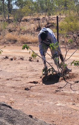 A person planting a small tree in dry, reddish soil. The person is wearing a light-colored hoodie, shorts, and boots.