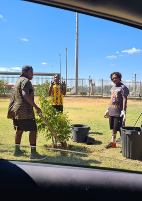 Three people planting a tree in a grassy area on a sunny day, near a fence and building.