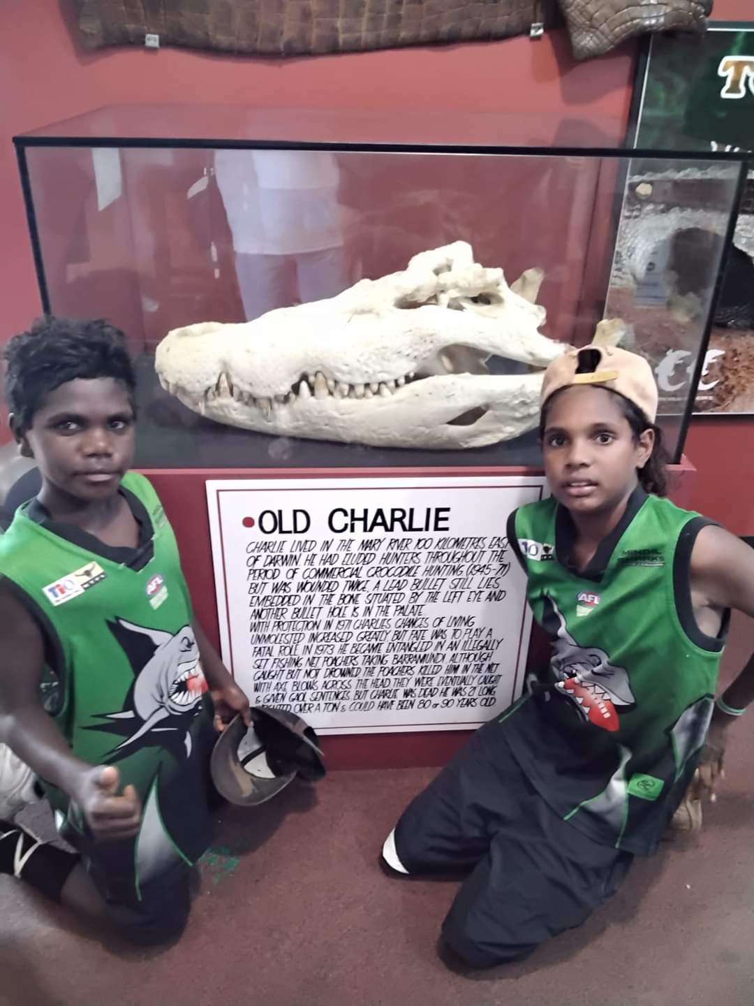 Two children kneel beside an alligator skull in a display case. They wear green and black jerseys and look at the camera.