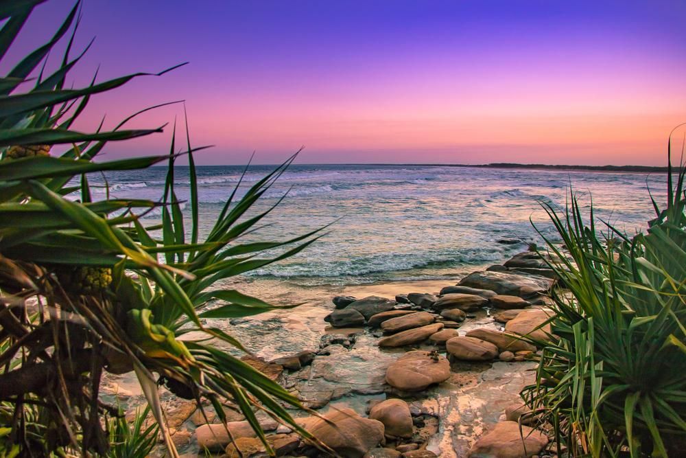 Sunset Over a Rocky Beach With a Palm Tree in Caloundra — Construction 33 in Caloundra, QLD