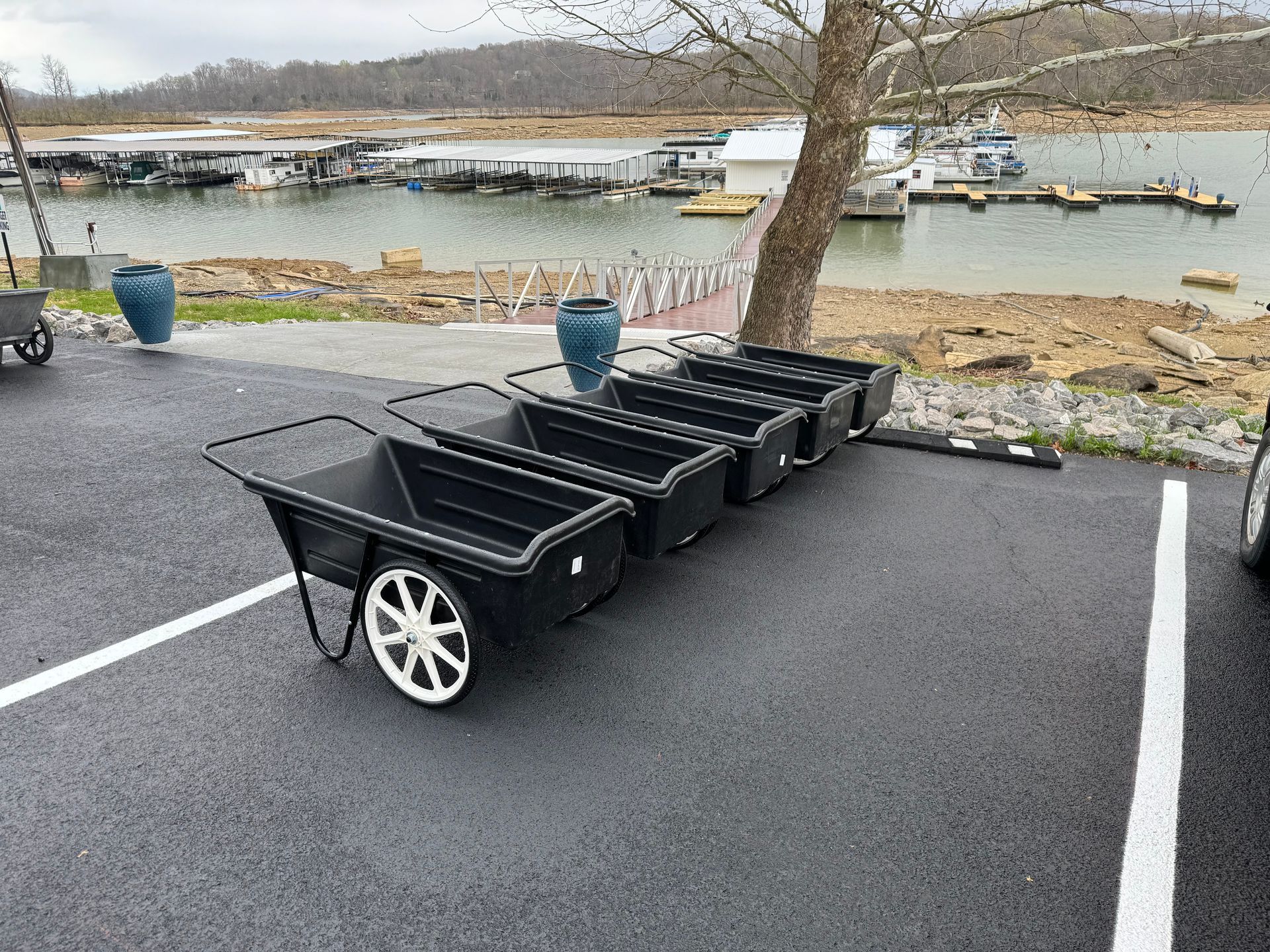 A row of wheelbarrows are parked in a parking lot next to a body of water.