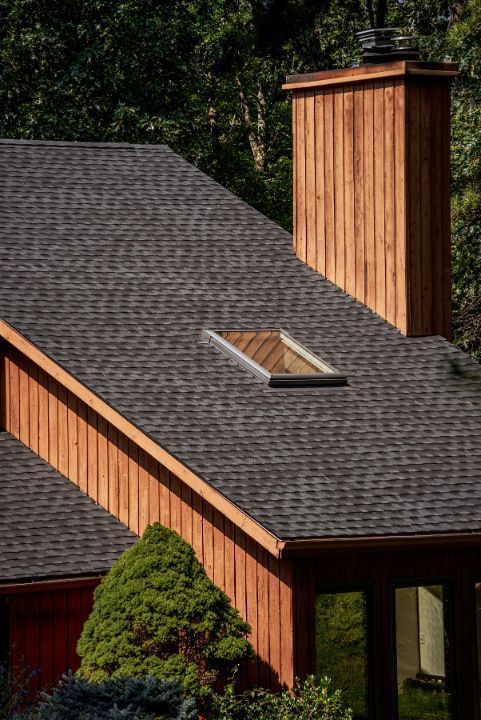 Brown roof with skylight and chimney, against a backdrop of trees.