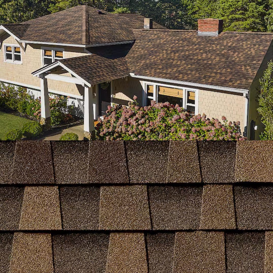 Suburban house with brown shingle roof and flowering shrubs in front, shown with a roof-shingle close-up below