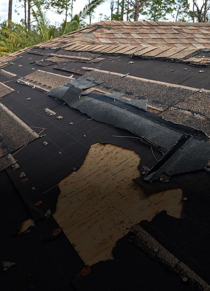 Damaged asphalt shingle roof, with missing and lifted shingles, showing the black underlayment.