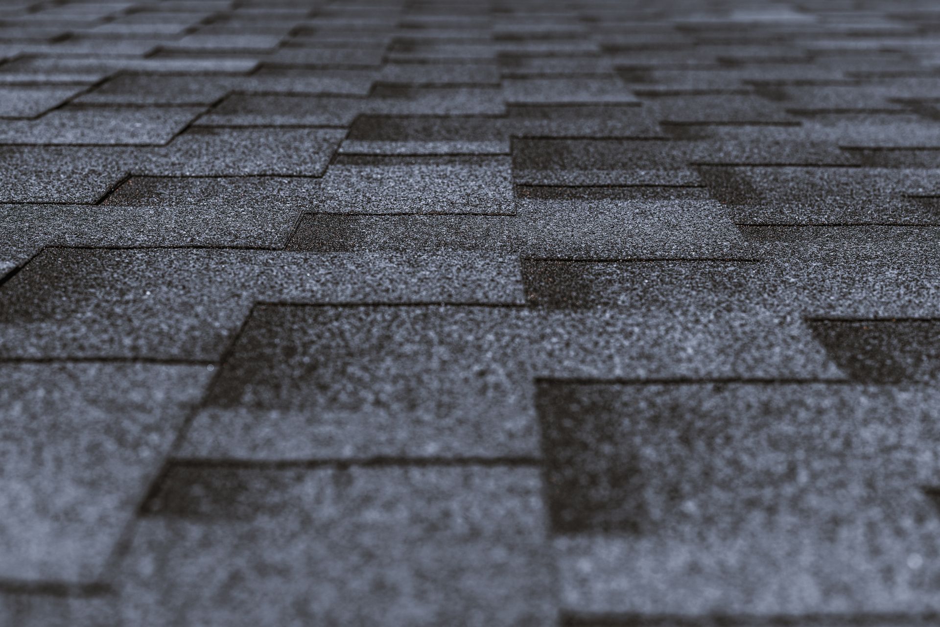 Close-up of gray asphalt shingles on a roof