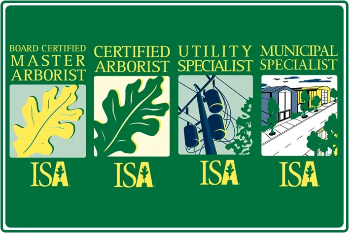 Certified Arborist Near Me Logo