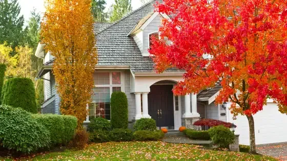 13 Ways To Winterize Your Seattle Landscaping, preparing your yard for winter, Sound Tree Care