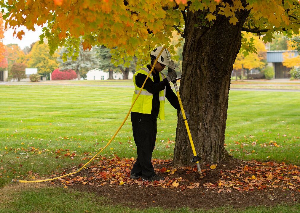 Worker in high-visibility vest trimming tree roots with a tool in a park during autumn
