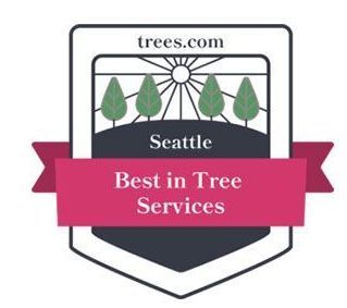 tree.com best in tree services badge